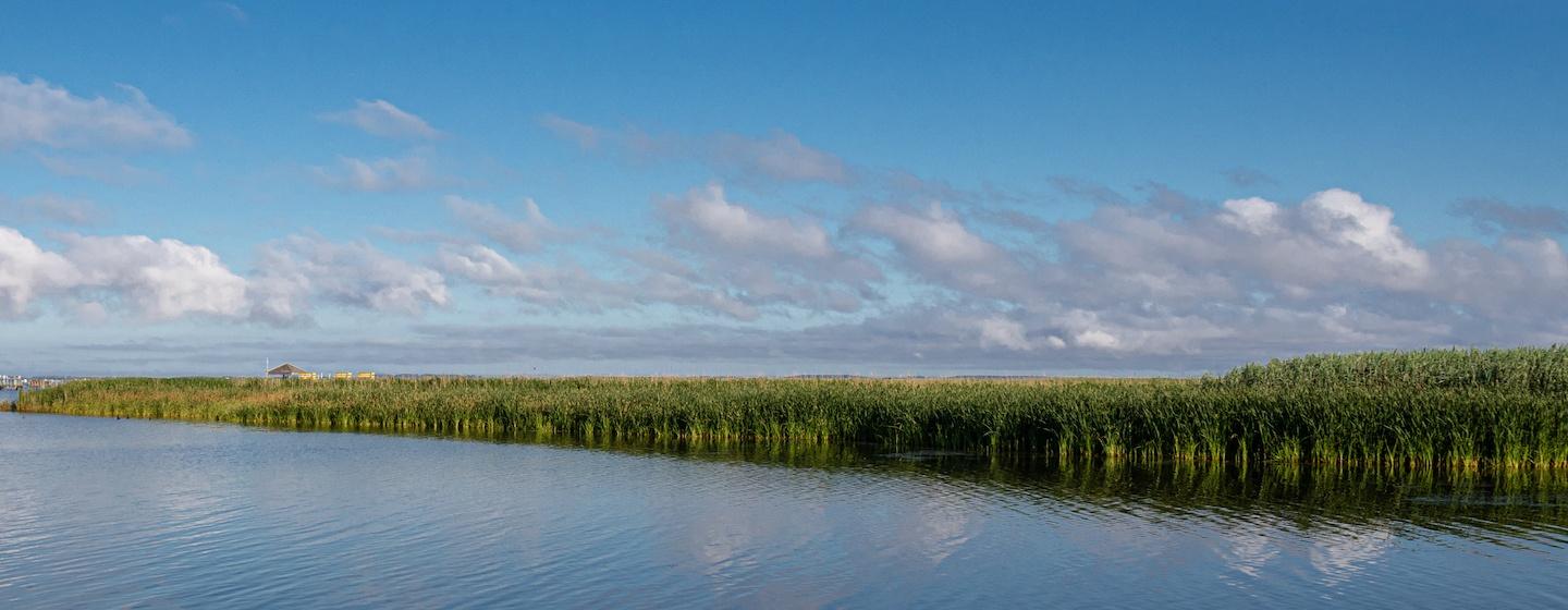 Why Are Some Bodies of Water Called "Sounds"? PBS North Carolina